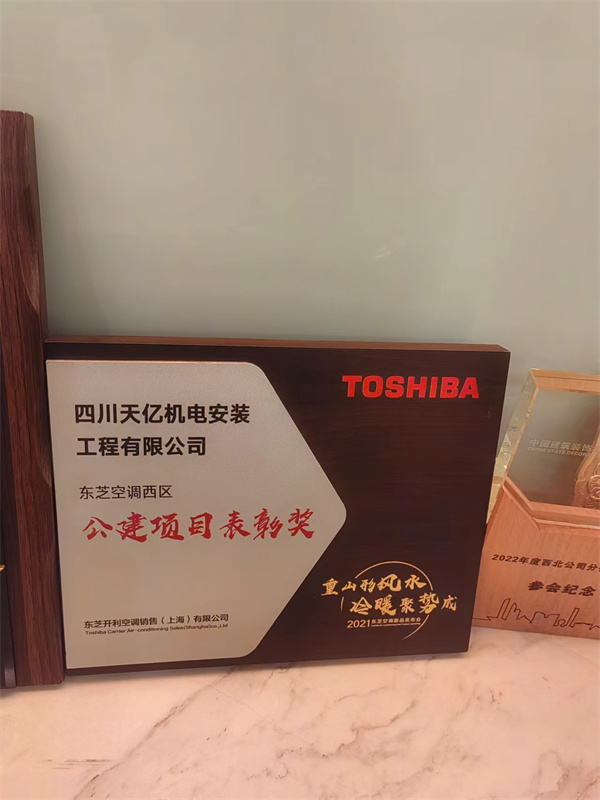 东芝空调西区 公建项目表彰奖