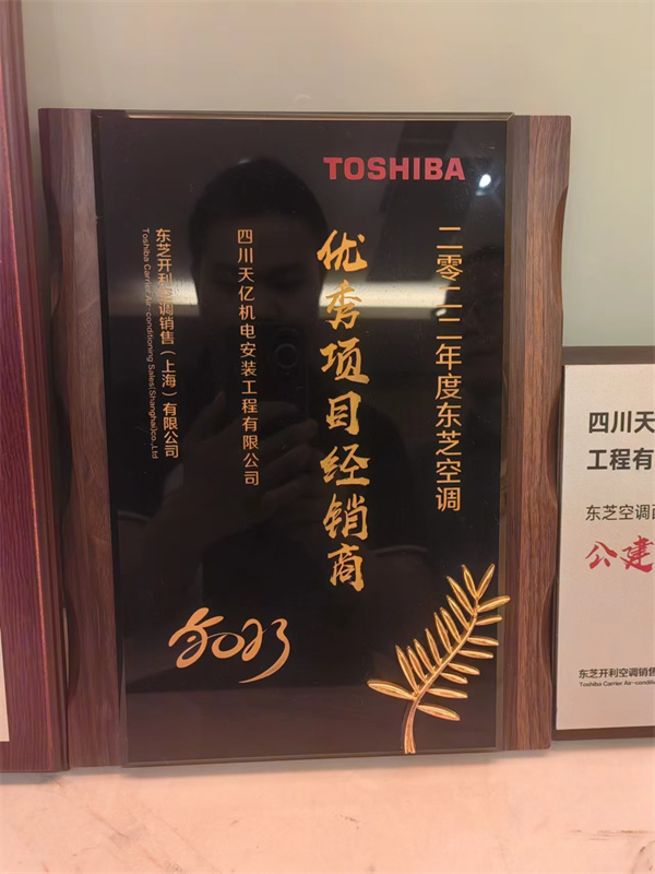 优秀项目经销商